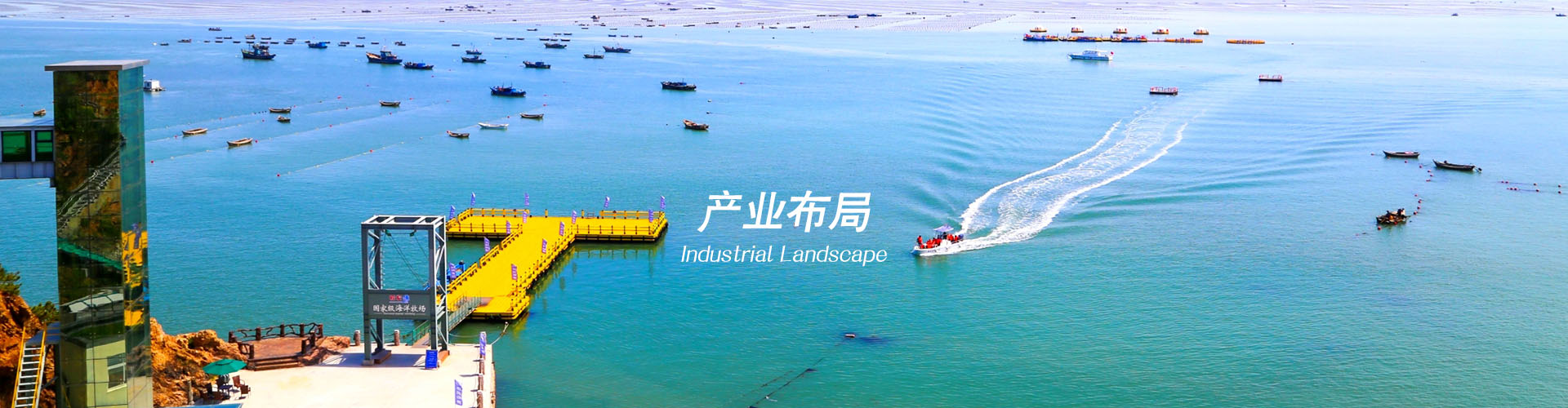 生物提取