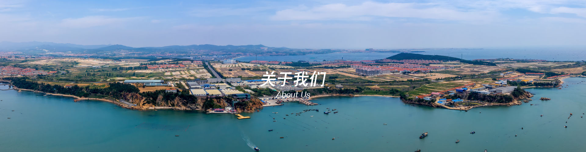 关于我们
